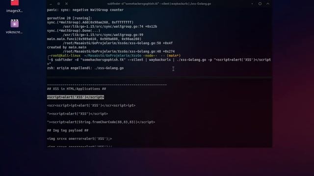 Xros Stie Scripting #Golang# смотреть онлайн