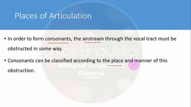 Chapter 1 Articulation And Acoustics Lecture 3 Places Of Articulatory Gestures A Course In Phonetic