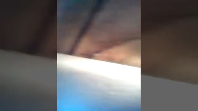 Утепление патолка в сарае без посторонней помощи.