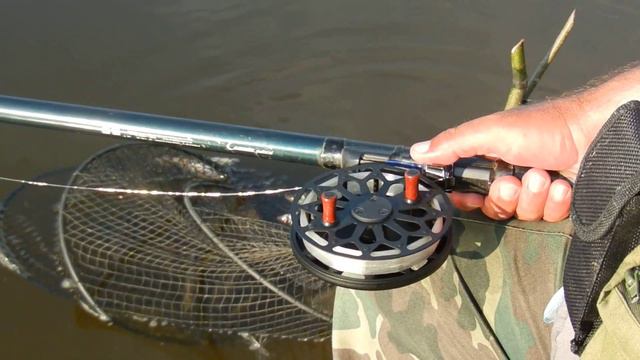 DSCN0740 смотреть онлайн