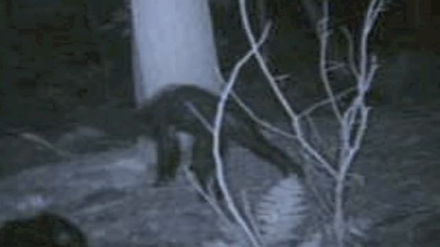 5 Mysterious Photos That Cannot Be Explained #2 смотреть онлайн