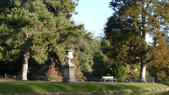 Leica V Lux Typ 114 camera 1080p 50fps test video смотреть онлайн