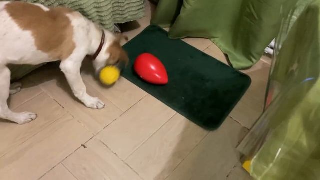 Старый мячик лучше нового яйца