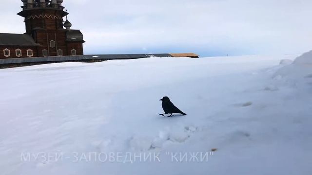 Снегоходные путешествия по Карелии: Кижи и Кондопога. смотреть онлайн