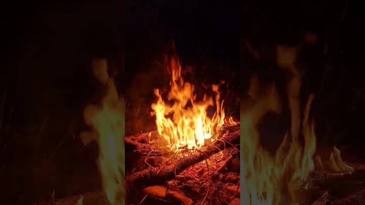 Летний костёр после рыбалки #костер #усьва
