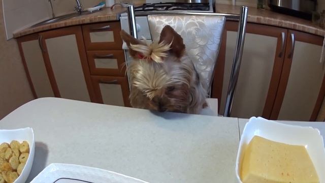 Кулинарная Фантазия