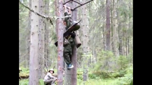 Высшая награда наших сборов смотреть онлайн