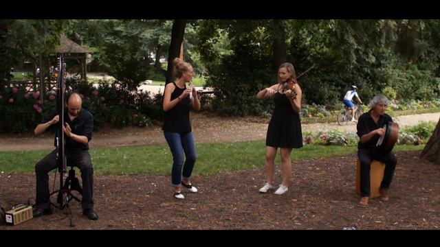 TRADITIONAL-IRISH-MUSIC FROM IRELAND ! FOLK AND CELTIC ! AWESOME STREET MUSICIANS !