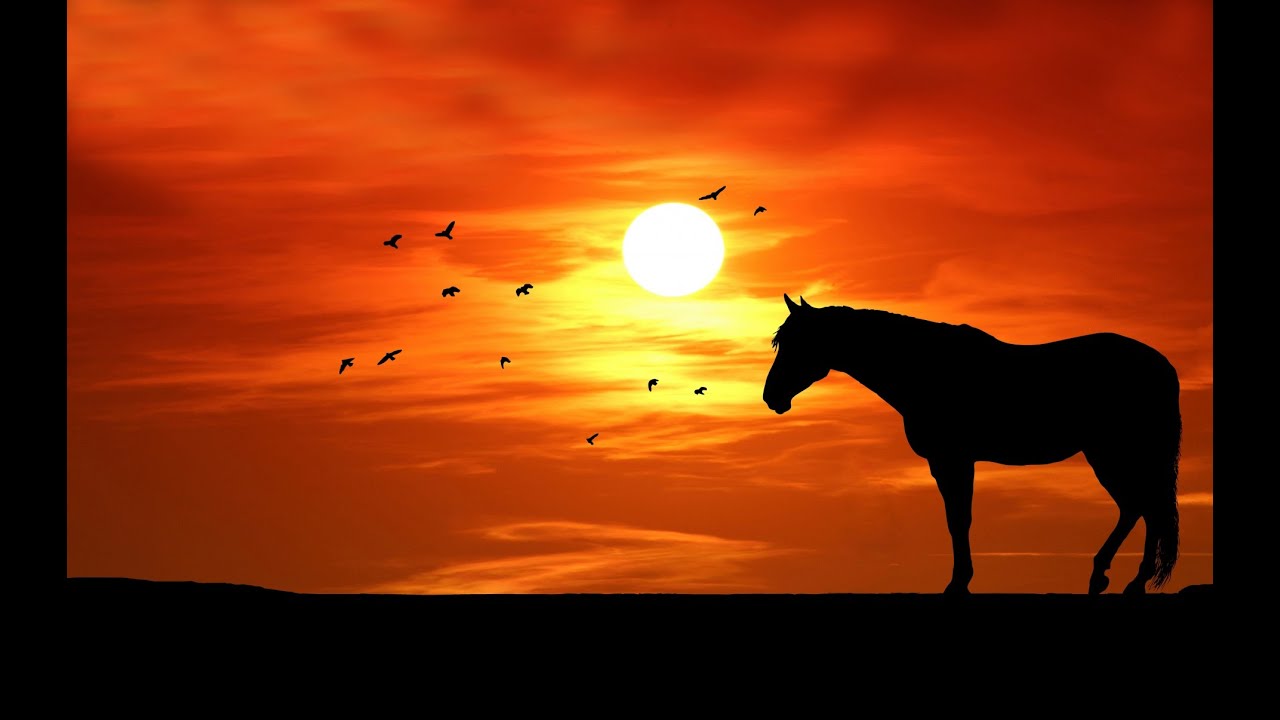 Назидание для ведьмы смотреть онлайн