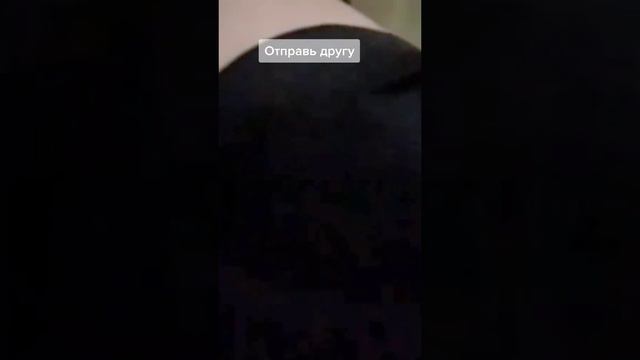 для лучшего друга🤣🤣🤣🤣🤣