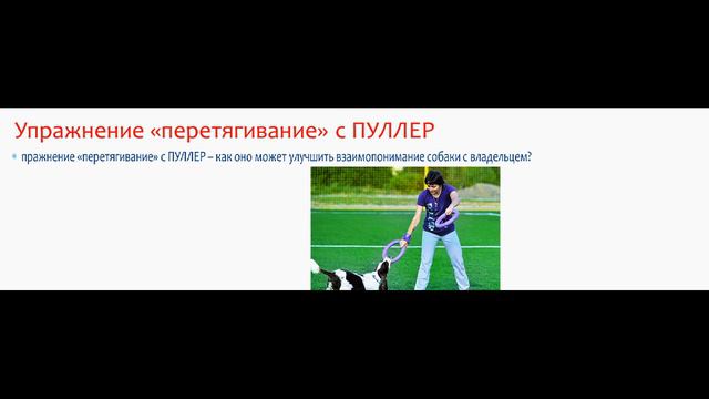 пуллер. / что я узнала про пуллер. смотреть онлайн