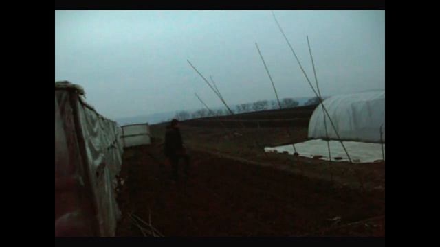 Как сделать Парник. Тоннель. Каблука. How to make a greenhouse. Tunnel. Heel. смотреть онлайн