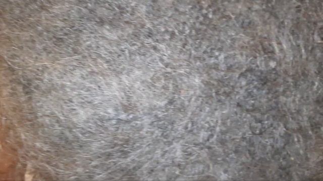 Жилетки из козьего Пуха. Ссылка на Авито доставку в описании. смотреть онлайн