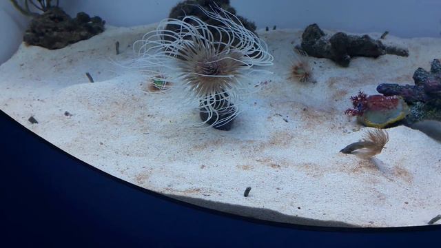 Аква🐠 Мир 🐡Новосибирск 🔥Очень Красиво🔥 смотреть онлайн