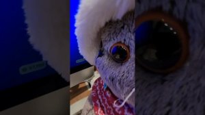 я играю в плиз донат ##роблокс##кот Басик