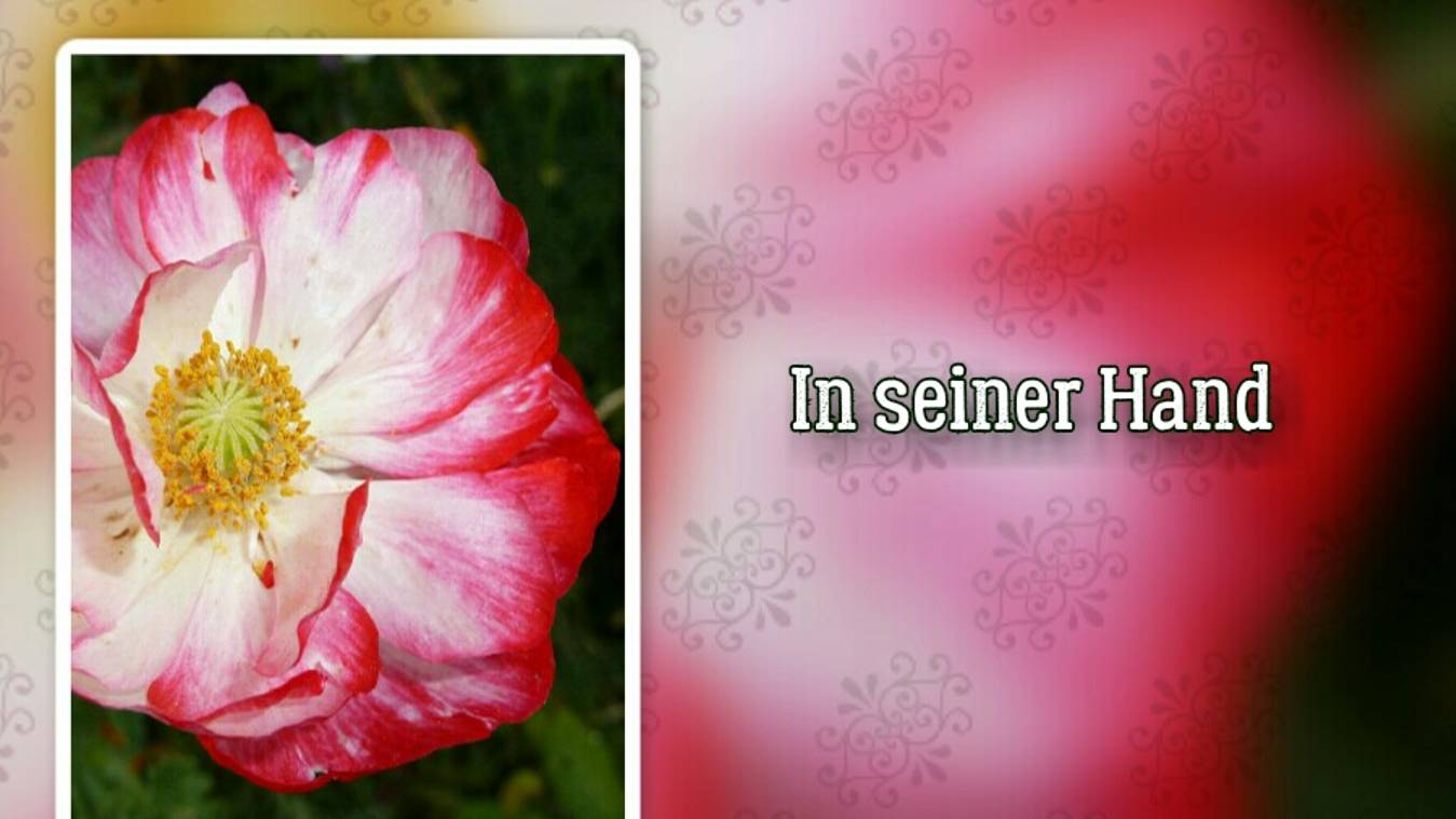 In seiner Hand (-) смотреть онлайн