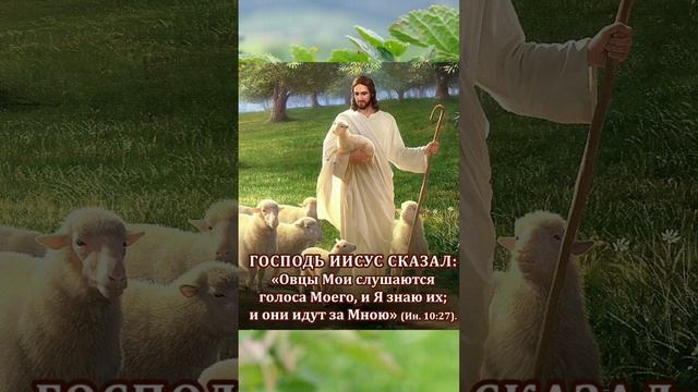 Благословение Господне на вас ! смотреть онлайн