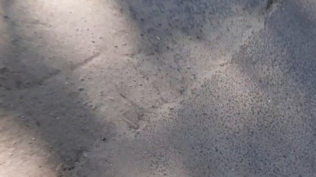 ЧЕМУ МОЖНО НАУЧИТЬСЯ ЗА ПЕРВЫЕ 2 ЧАСА, Пенни борд для новичка #Влог смотреть онлайн