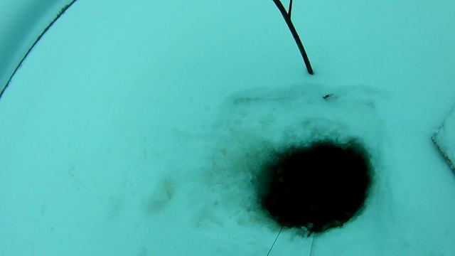 Проверка удочек. 5 день.Налимчик. смотреть онлайн