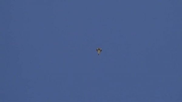 RC Jet powerful Display Suchoi Su-57 Russian Сухой Су-57 Stealt Su Pak Turbine Model Jet Model