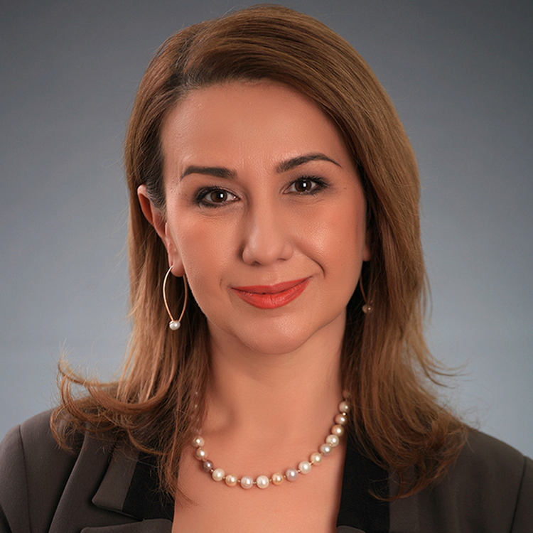 Интервью с министром культуры Республики Татарстан Ирадой Аюповой. смотреть онлайн