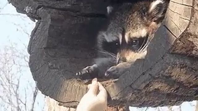 Страшно а есть хочется. смотреть онлайн