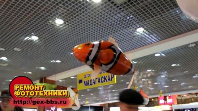Воздушные пловцы (Air Swimmers) смотреть онлайн