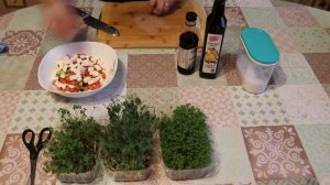 Салат с Микрозеленью гороха, брокколи, кресс салата