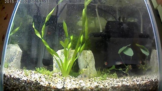 ProLike | 1080 (FullHD) | 30 fps смотреть онлайн