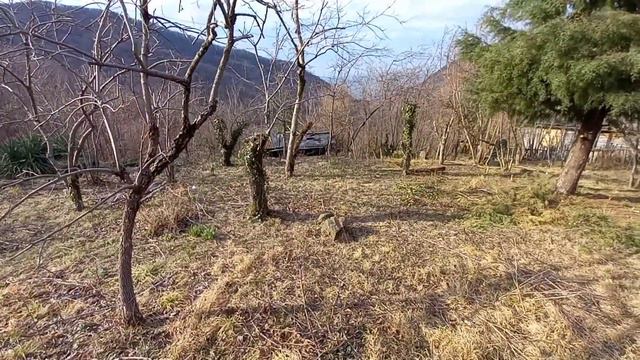 Участок в Сочи смотреть онлайн