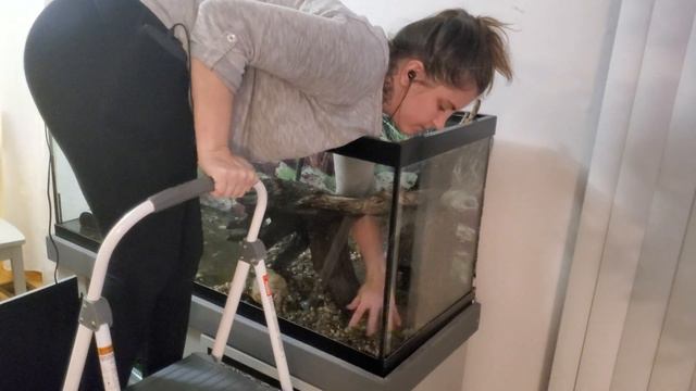Dismantling Turtle Tank in Small Space with Cats смотреть онлайн