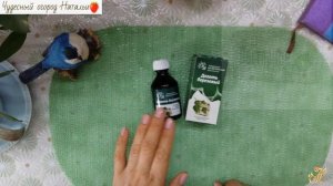 Березовый деготь вреден или нет? Наше мнение