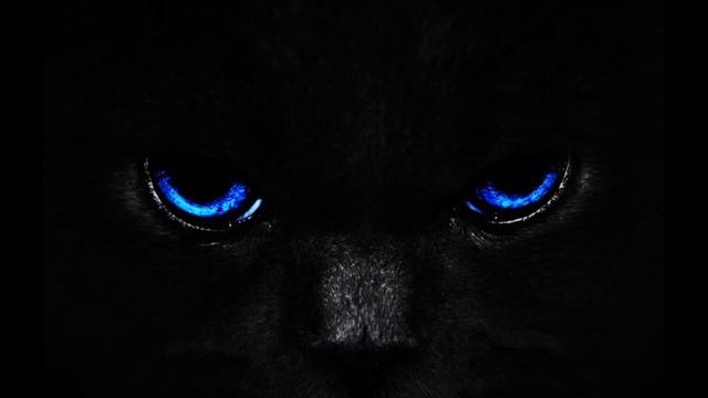 =Falls In Fear=　【Fear Music】 смотреть онлайн