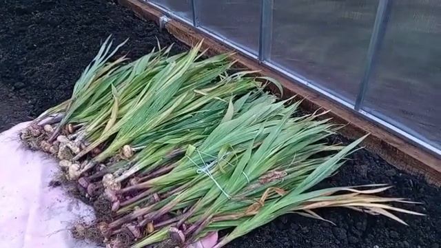 Деревня и жизнь в ней .Хроника дня. смотреть онлайн