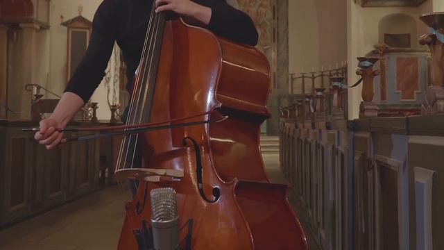 J. S. Bach - Suite for solo cello no.1, Allemande, Danijel Petrovic double bass смотреть онлайн