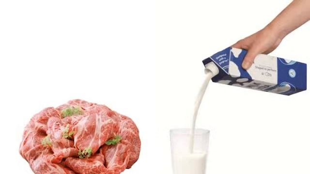 Сюжет 'Куриное Яйцо' смотреть онлайн