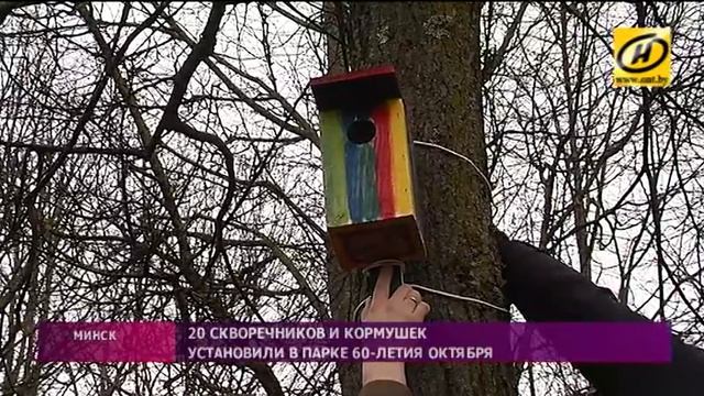 Скворечники и кормушки устанавливали школьники в минском парке