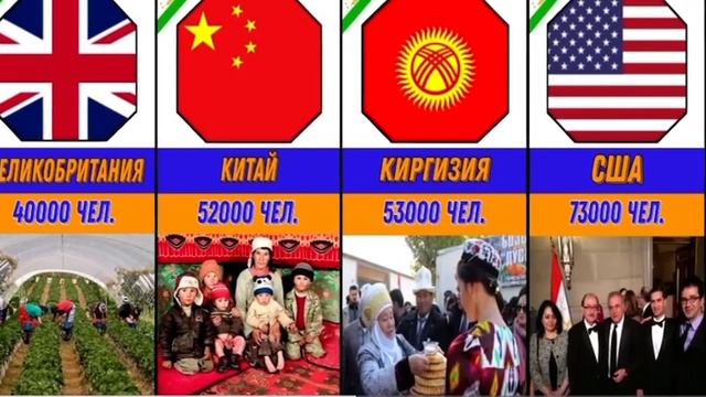 В каких странах больше жителей таджики #таджикистан #точикистон #таджики смотреть онлайн