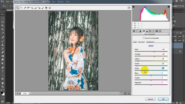Cinematic Twilight Dark Tone | Camera Raw Free Preset | Color Grading Photoshop Tutorial смотреть онлайн