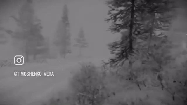 ФЕВРАЛЬСКИЕ МЕТЕЛИ смотреть онлайн