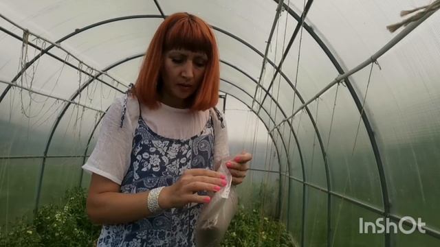 Влог✅Радуга, печь с казаном, мой мир 25.06.22г смотреть онлайн