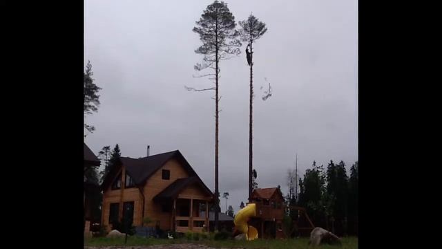 Спилить Дерево Частями смотреть онлайн
