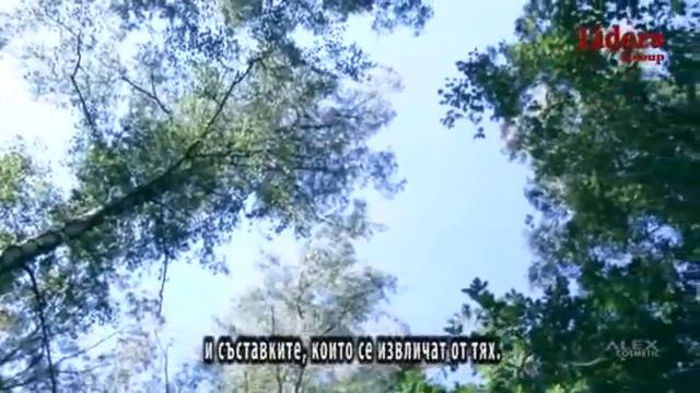 Билков Пилинг - Alex Cosmetic смотреть онлайн