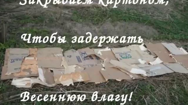 С чего начать Природное земледелие! З первых шага! смотреть онлайн