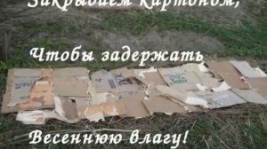 С чего начать Природное земледелие! З первых шага!