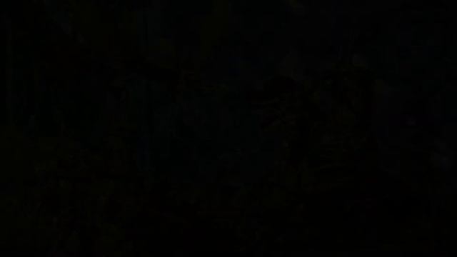 Age of Sigmar Lore | Flesheater Courts Lore смотреть онлайн