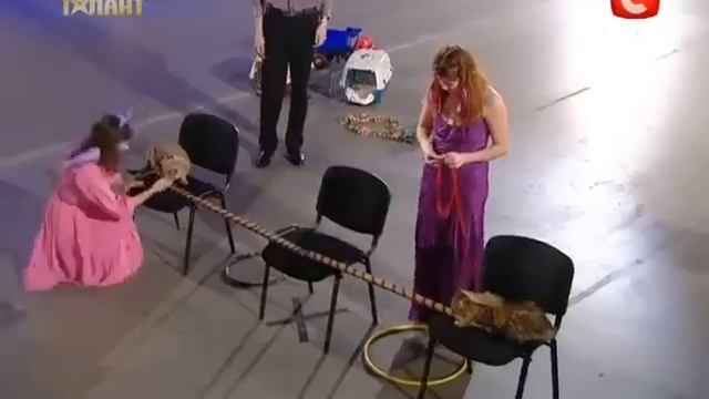 Украина мае талант-Подборка весёлых номеров!!)))))-_* смотреть онлайн