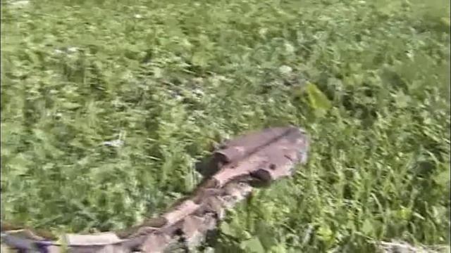 My pet Gaboon viper смотреть онлайн