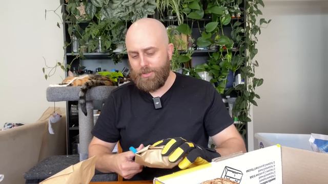 Unboxing a HUGE Rare Plant Mail Haul | Long Chatty Plant Unboxing смотреть онлайн