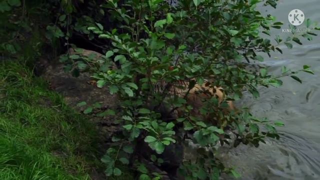 ДОБРОЕ ДЕЛО. Баба Галя. 101 серия НАШЕГО СЕРИАЛА. | Правдивая Ольга смотреть онлайн